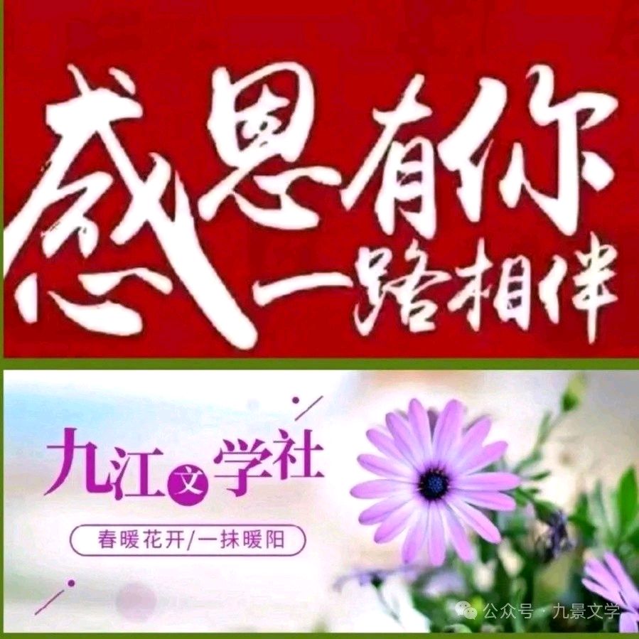 《九江文学社：北京头条》优秀诗人梅宁生先生诗歌欣赏：不离不弃（外一首）（图6）