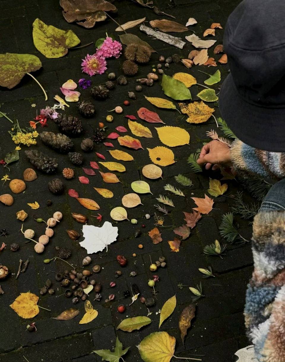 聆听 ‖ 《落叶🍂》作者/王大生 朗诵/李瑞丰 铃铛 桂芬 崔桂芝 高愉小苹 常书华（图10）