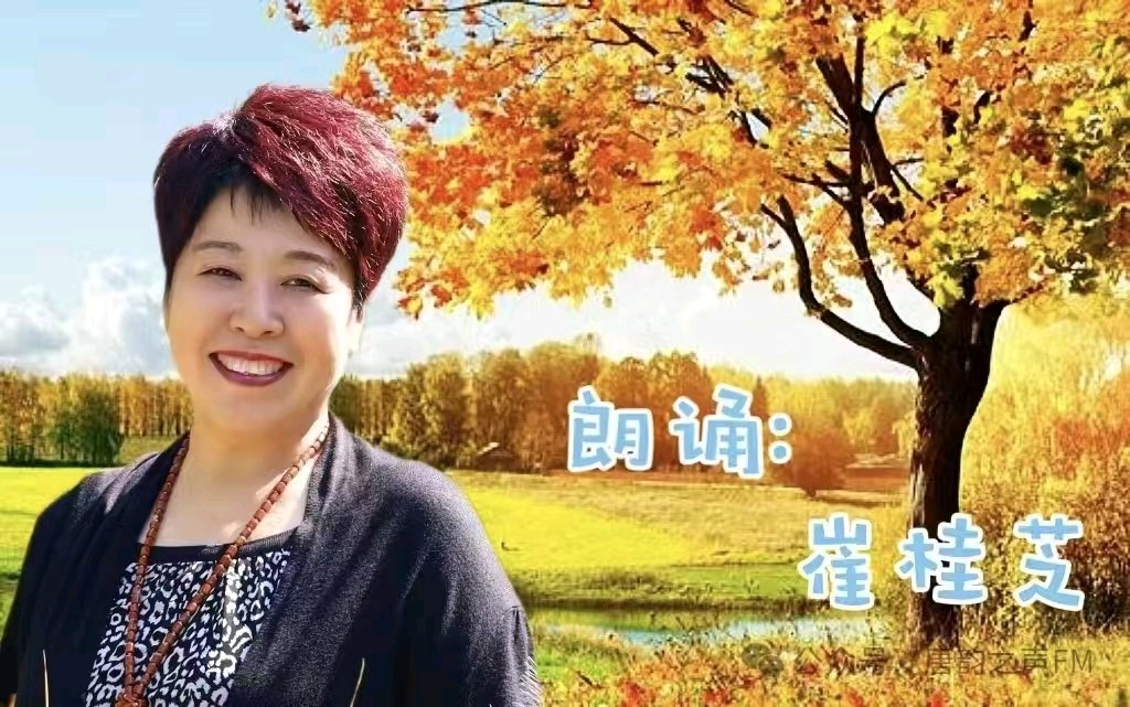 聆听 ‖ 《落叶🍂》作者/王大生 朗诵/李瑞丰 铃铛 桂芬 崔桂芝 高愉小苹 常书华（图7）