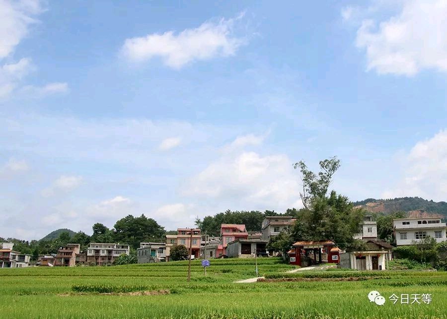 【荣耀中国】——周刊第267期（图7）