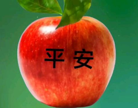 【散文】《十一月十五日: 多元时空里的文明印记》作者: 强军/陕西宝鸡（图9）