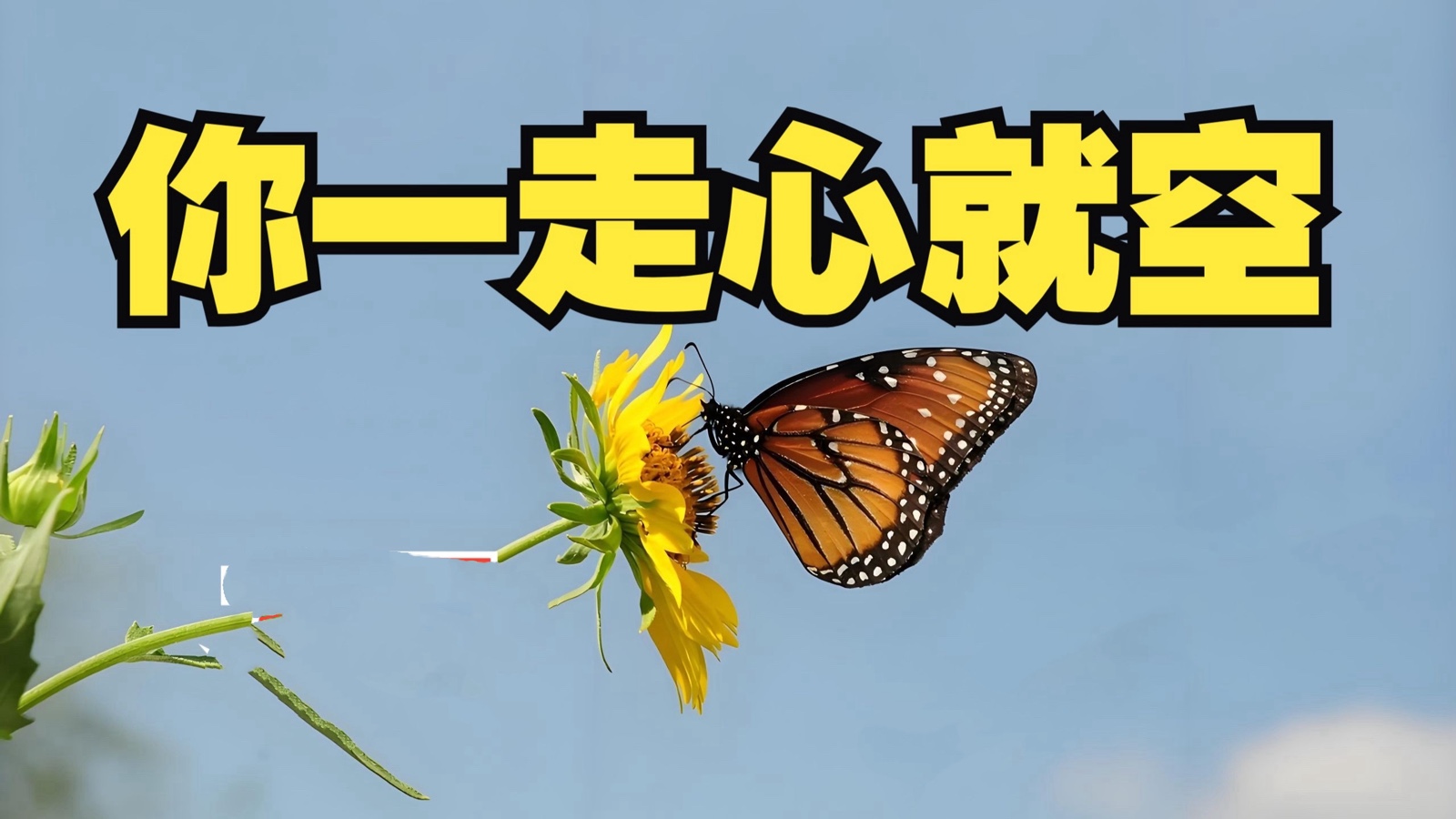 友友朗诵：火凤凰作品导读《冬雪下的秋实》外四首｜海外头条（图7）