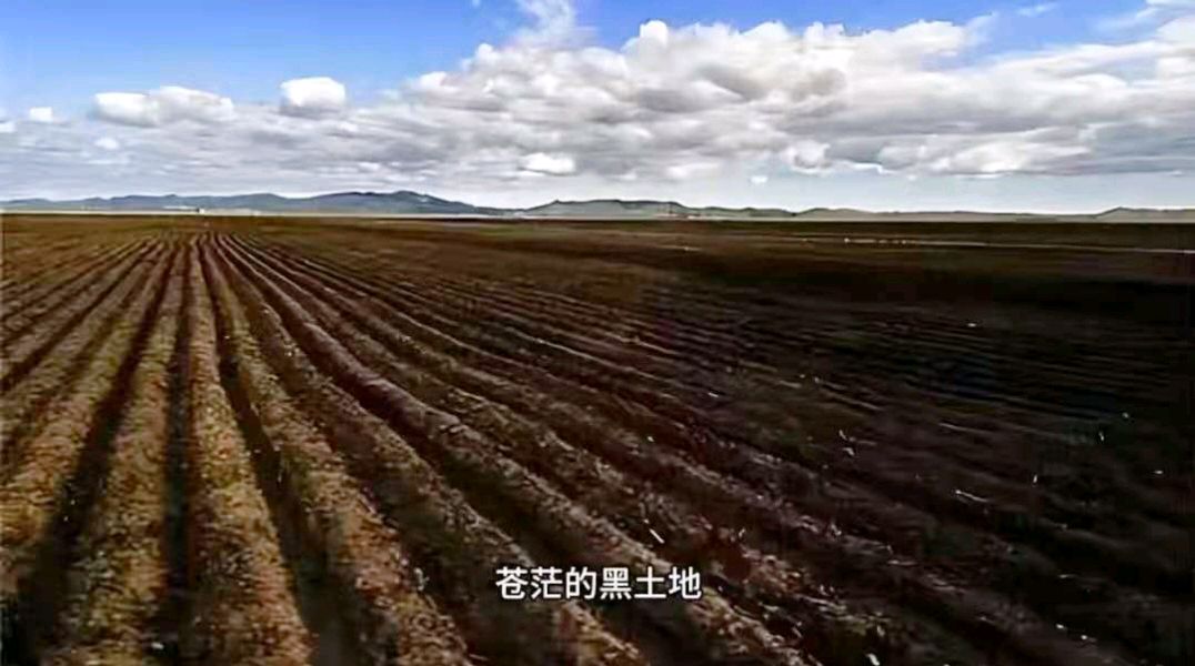 【佳作欣赏】《〈梦中大北疆〉老兵与黑土地的灵魂礼赞》编辑:巍巍昆仑（图14）