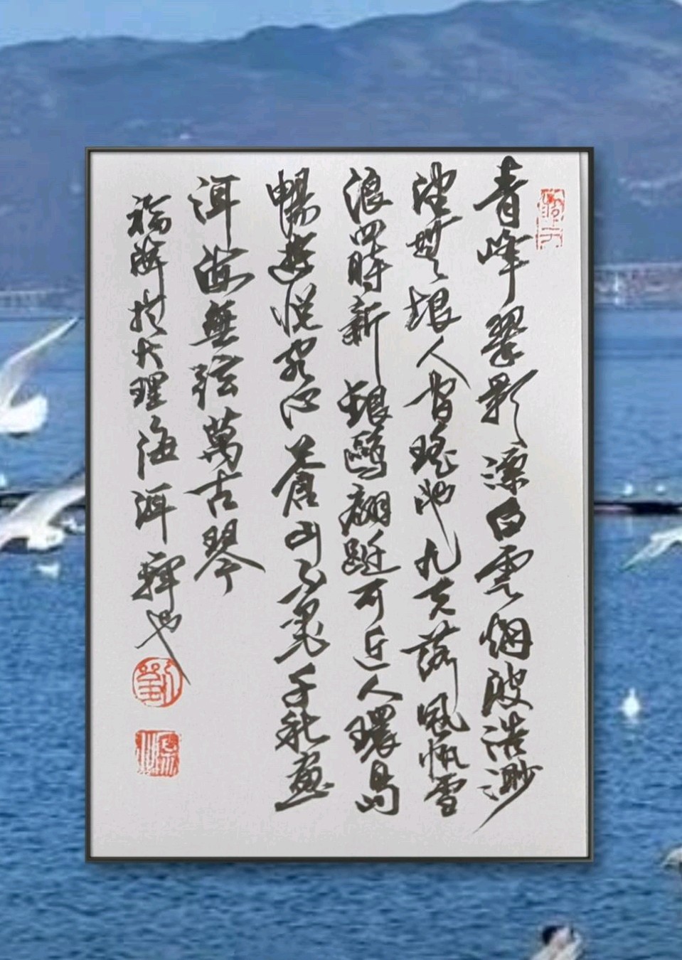 畅遊云南洱海