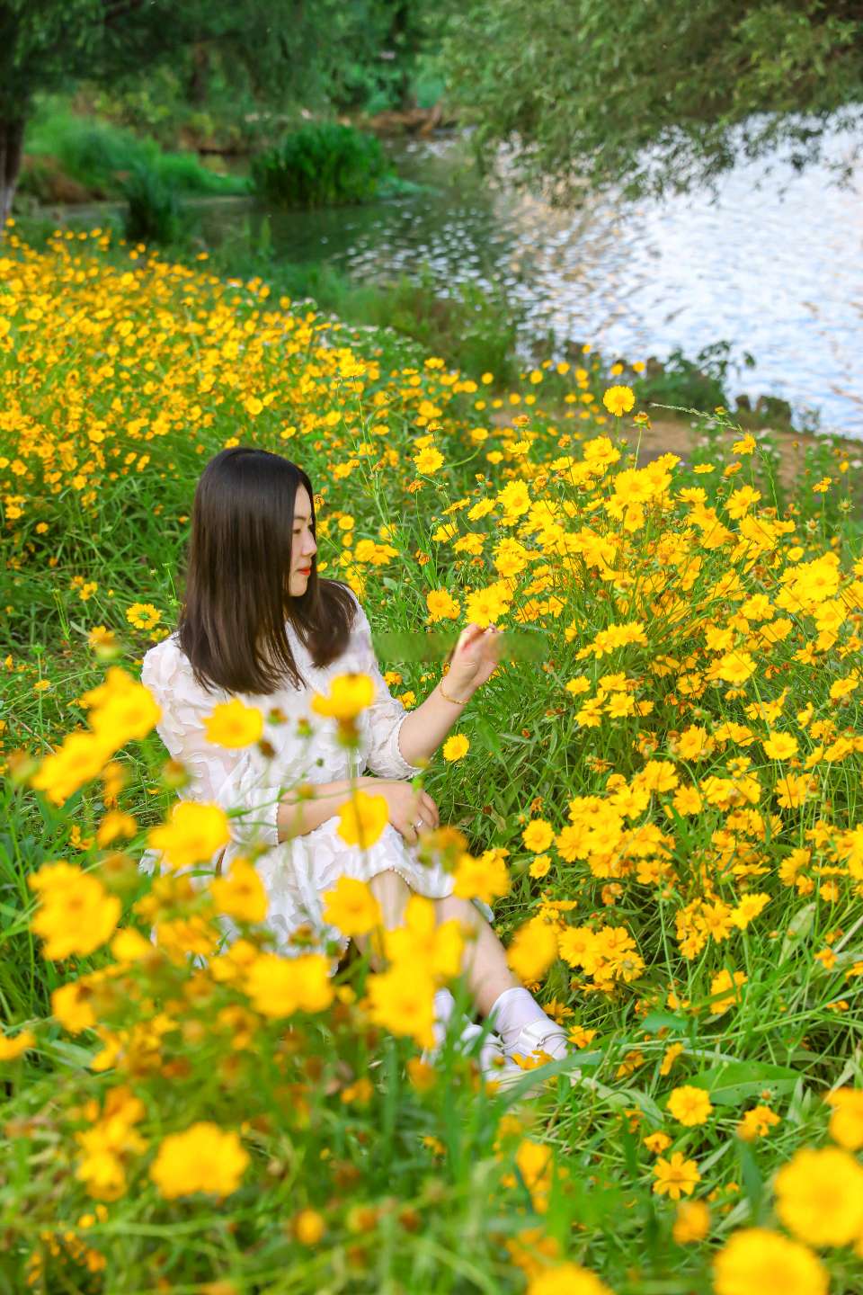 咏菊～诗◑伊伊（图9）