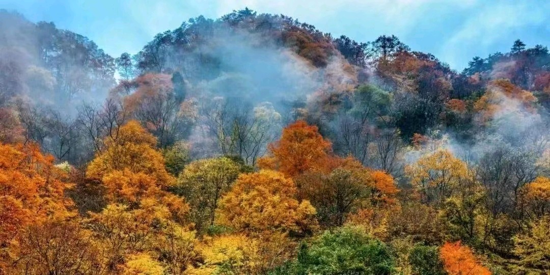 【荣耀中国】文学社五律·深山早市作者】李德政（安康）（图3）