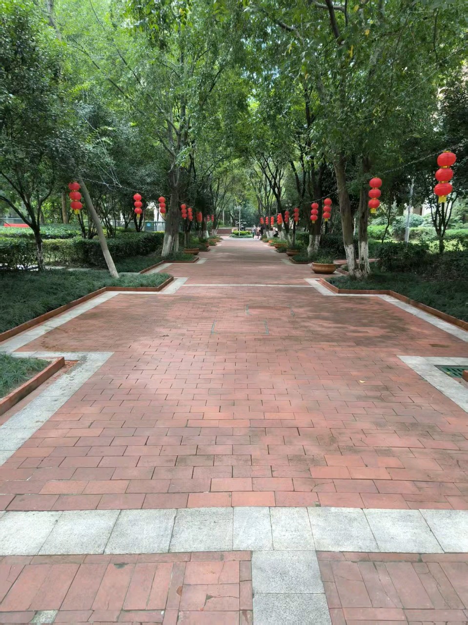 【荣耀中国】文学社*路 作者/ 万木青（图4）
