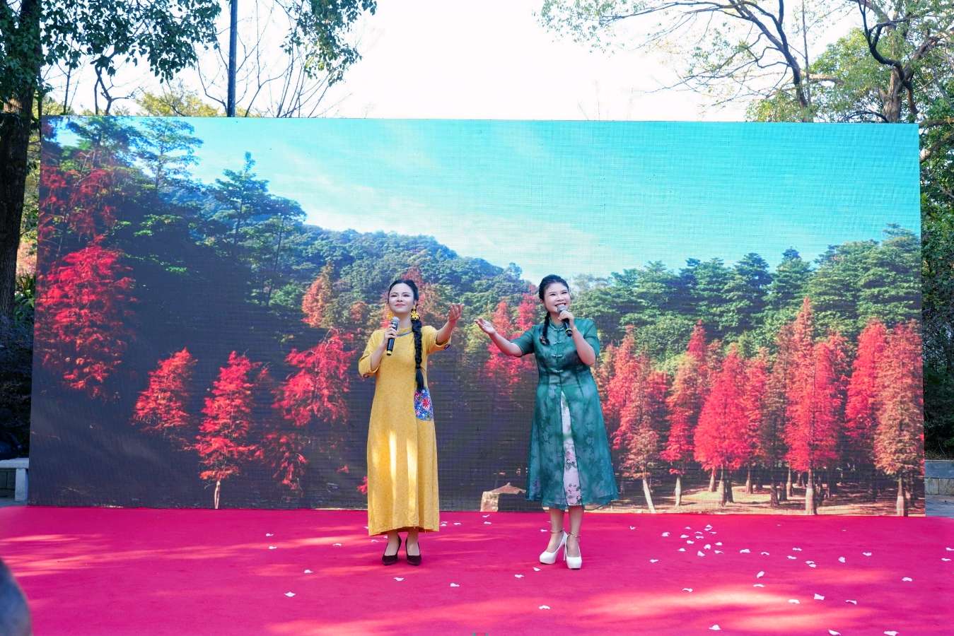 《帽峰枫影记》 文/微微（曾玉婷） 朗诵/梁宇 微微 晋粤传奇平台