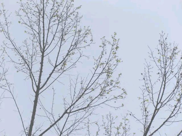 《涧石创作当代诗几首》作者：涧石 [中国现代诗歌文化传媒推荐]（图6）
