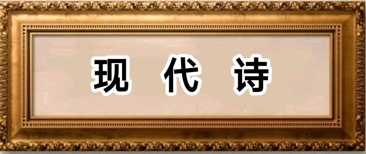 赵春和【现代诗】随笔(外一首)/中华诗艺社黑龙江分社【2025第261期】（图4）