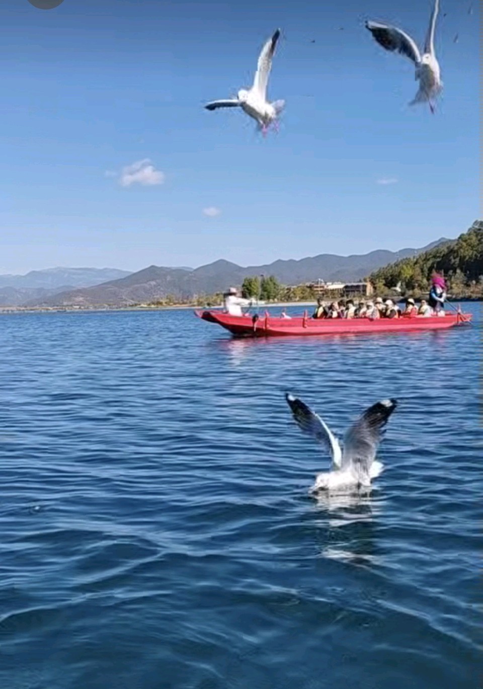 丽江泸沽湖（图4）