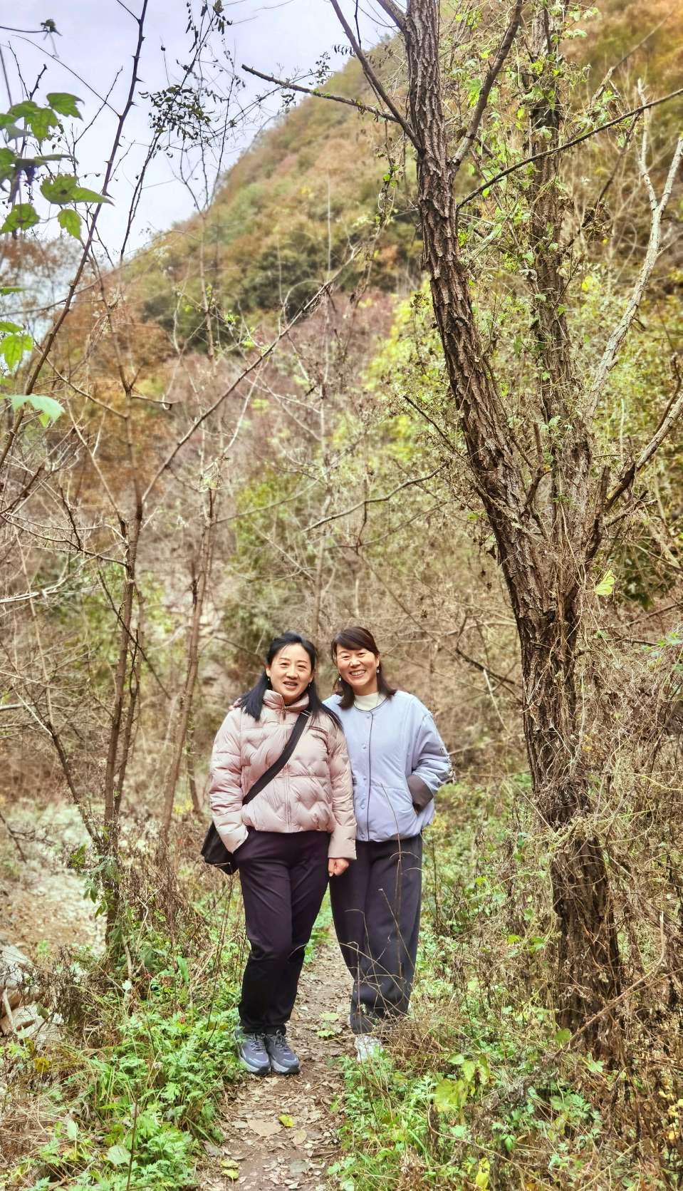 陈兆惠 | “云山寄兴，烟霞问花”游学采风记（图36）