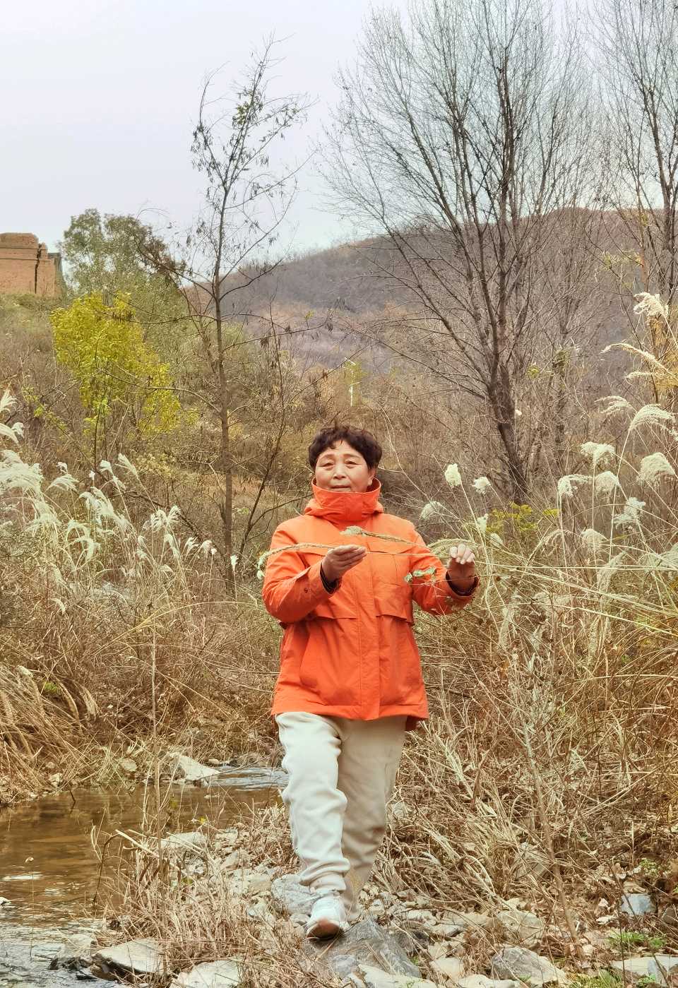 陈兆惠 | “云山寄兴，烟霞问花”游学采风记（图19）