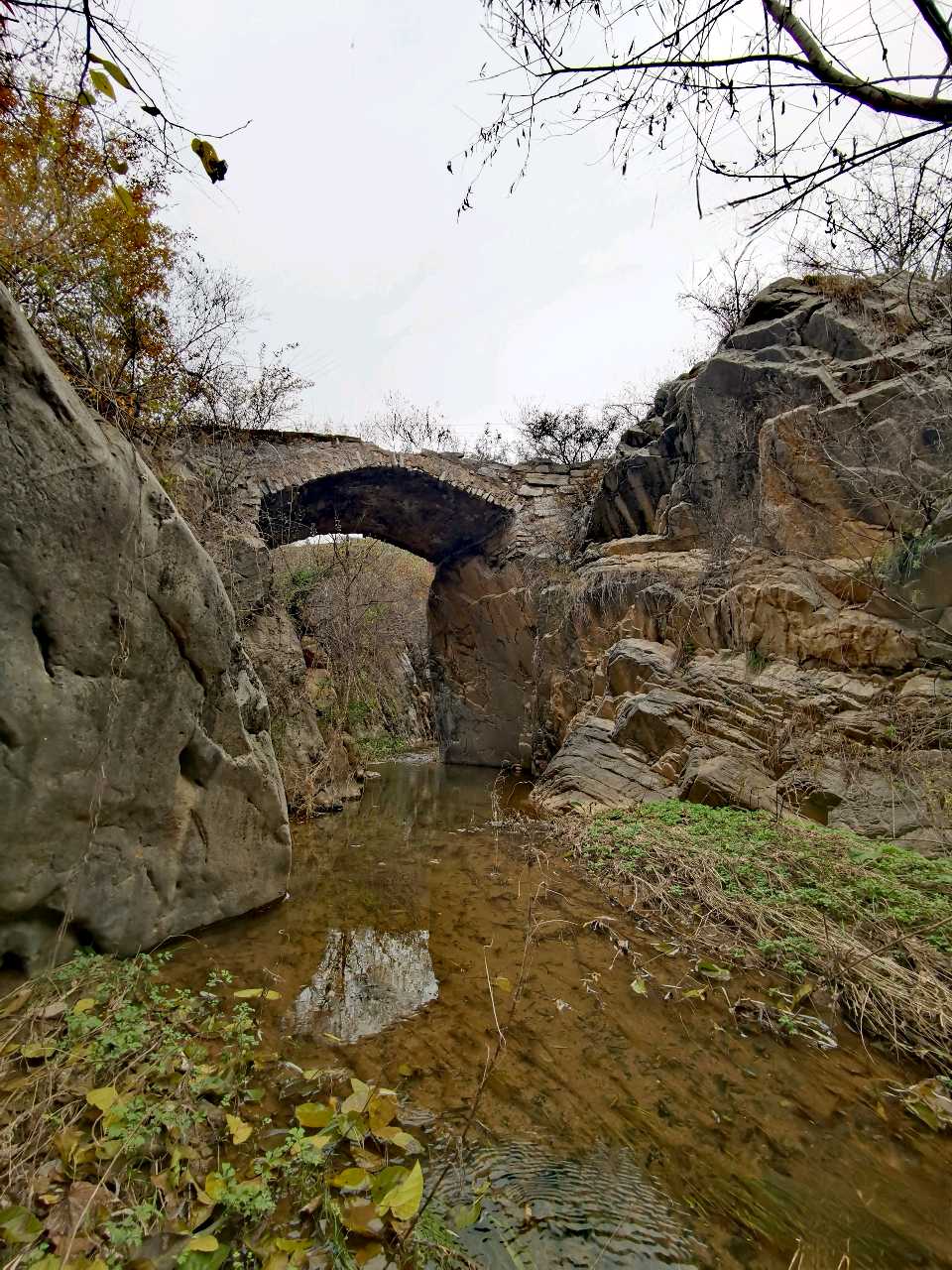 陈兆惠 | “云山寄兴，烟霞问花”游学采风记（图45）