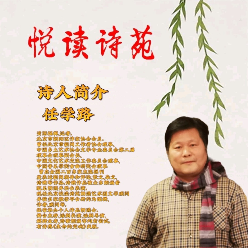 【我在初冬期盼】作者任学路 朗诵者文娟（图6）