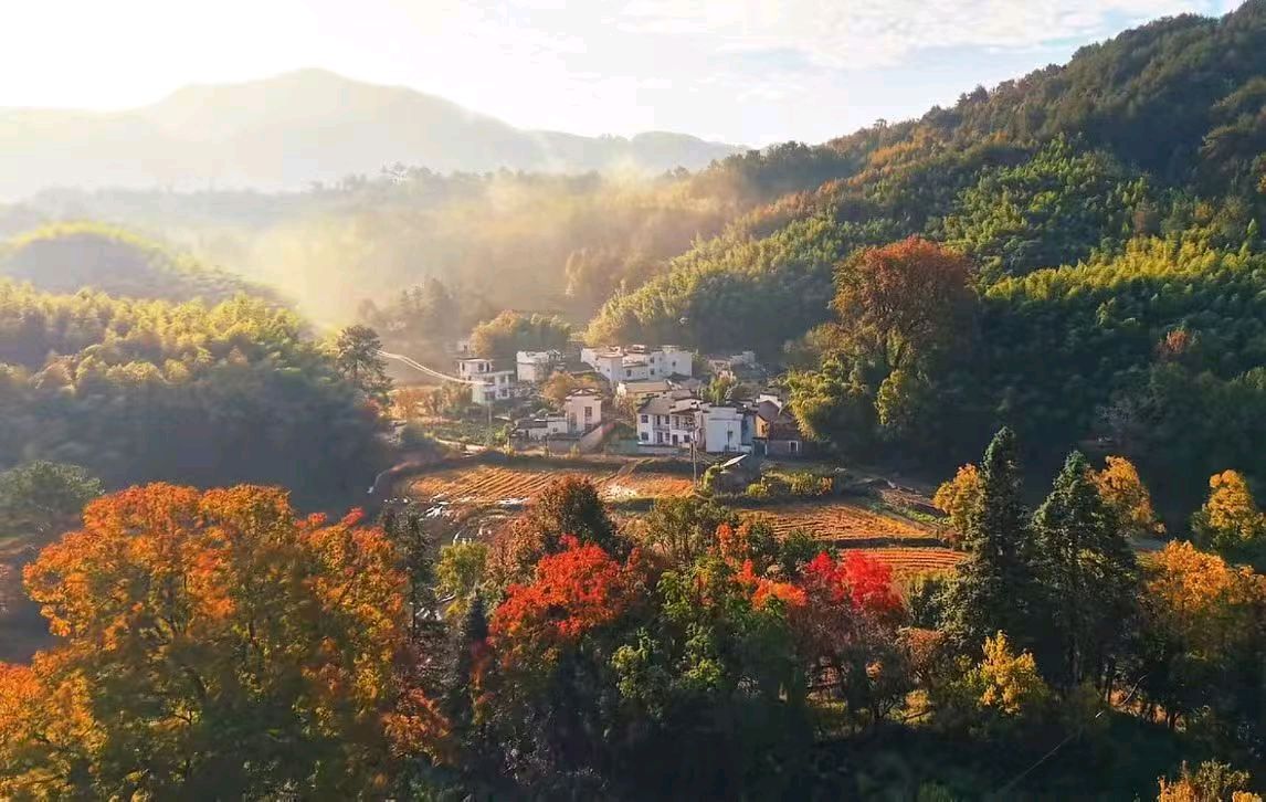 【荣耀中国】五律·穷秋作者/李德政（安康）（图5）