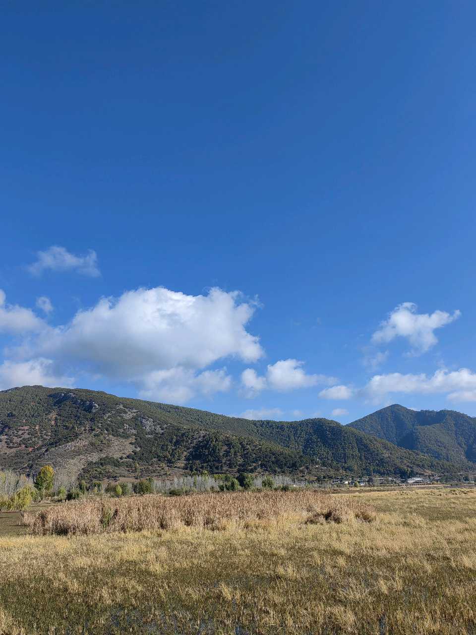 泸沽湖草海（图6）