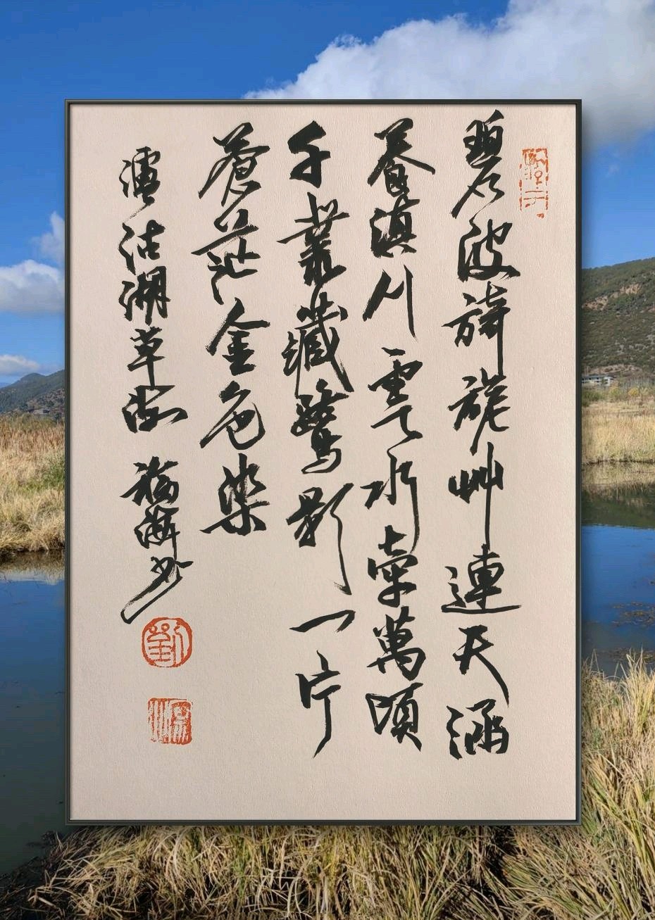 泸沽湖草海