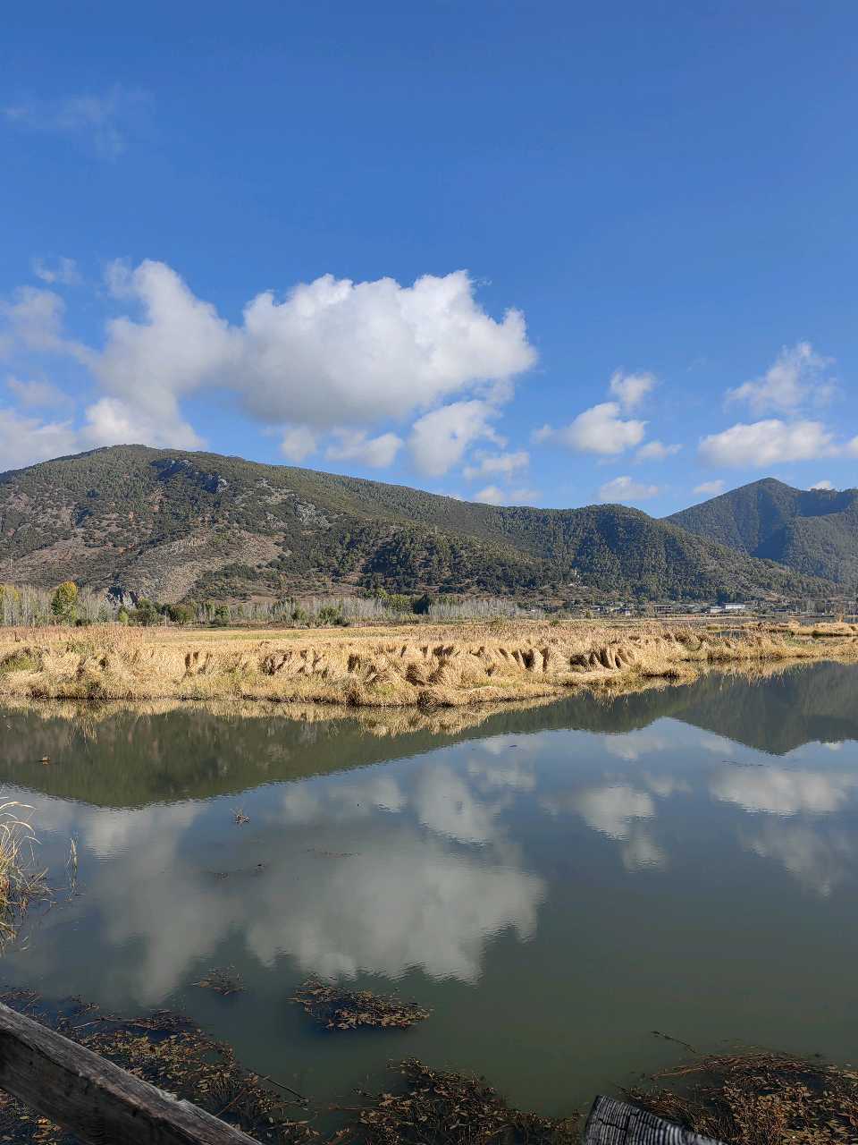 泸沽湖草海（图7）