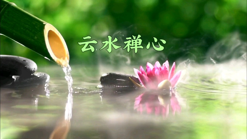 聆听 ‖ 百合朗诵《云水禅心》作者/碑林路人（图7）