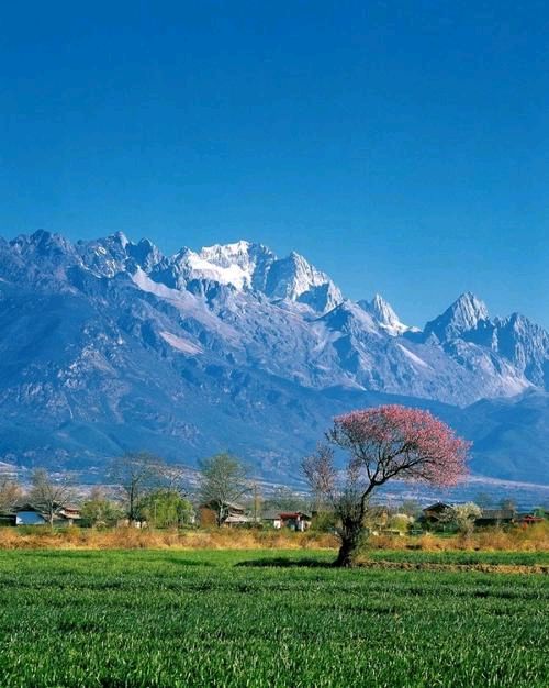 过玉龙雪山（图6）