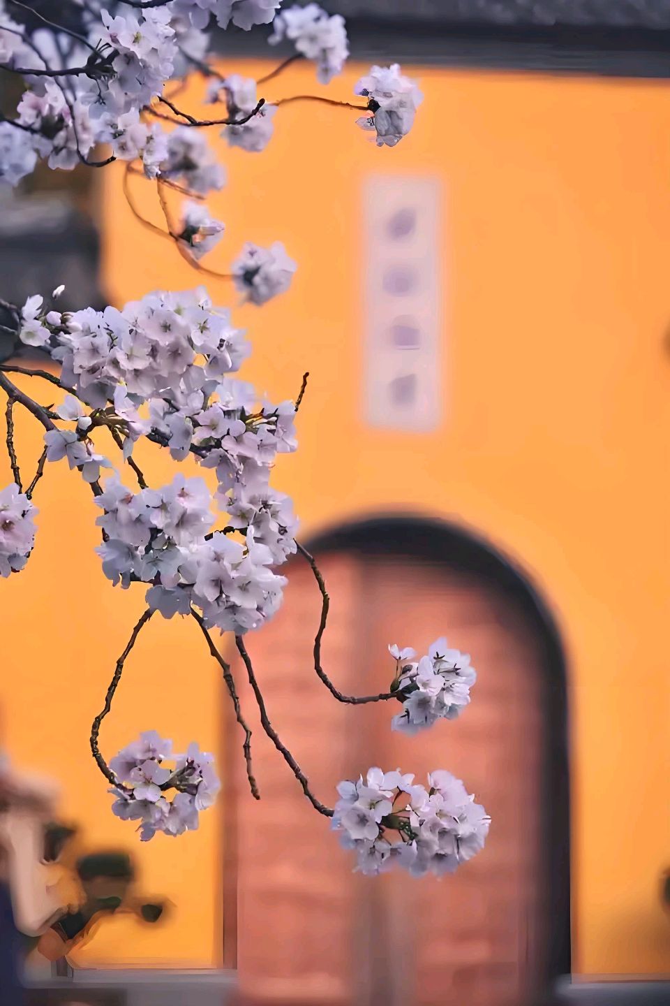 《宿命》文/鲁妮 诵/老菩提（图4）