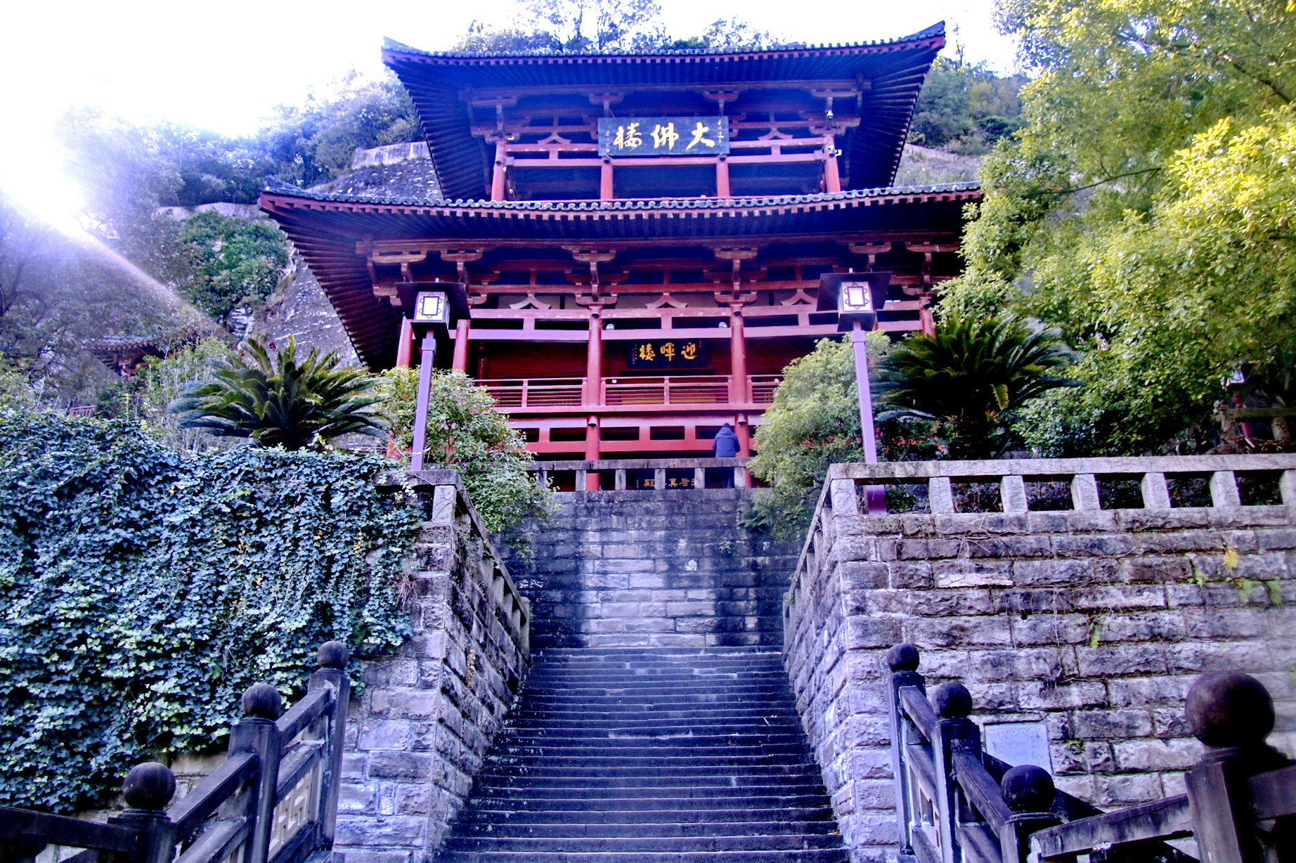 _MG_9043.JPG