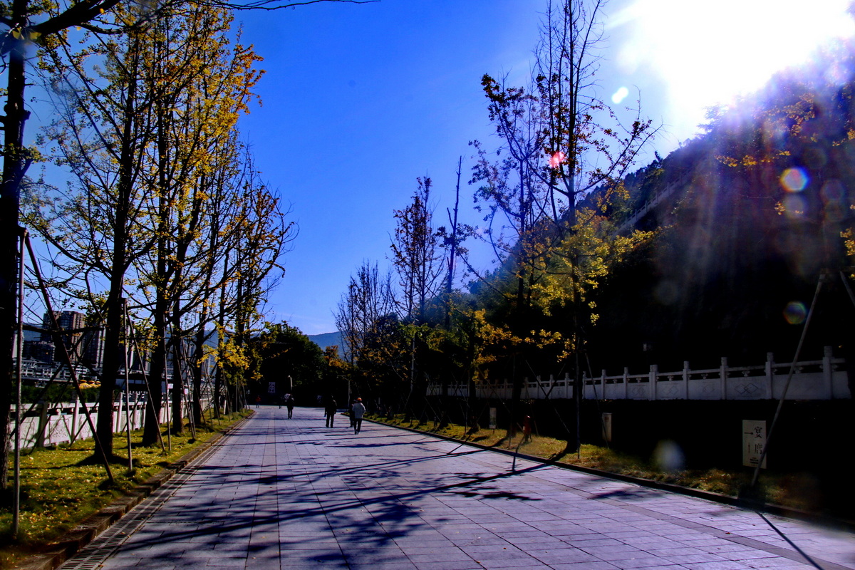 _MG_9026.JPG