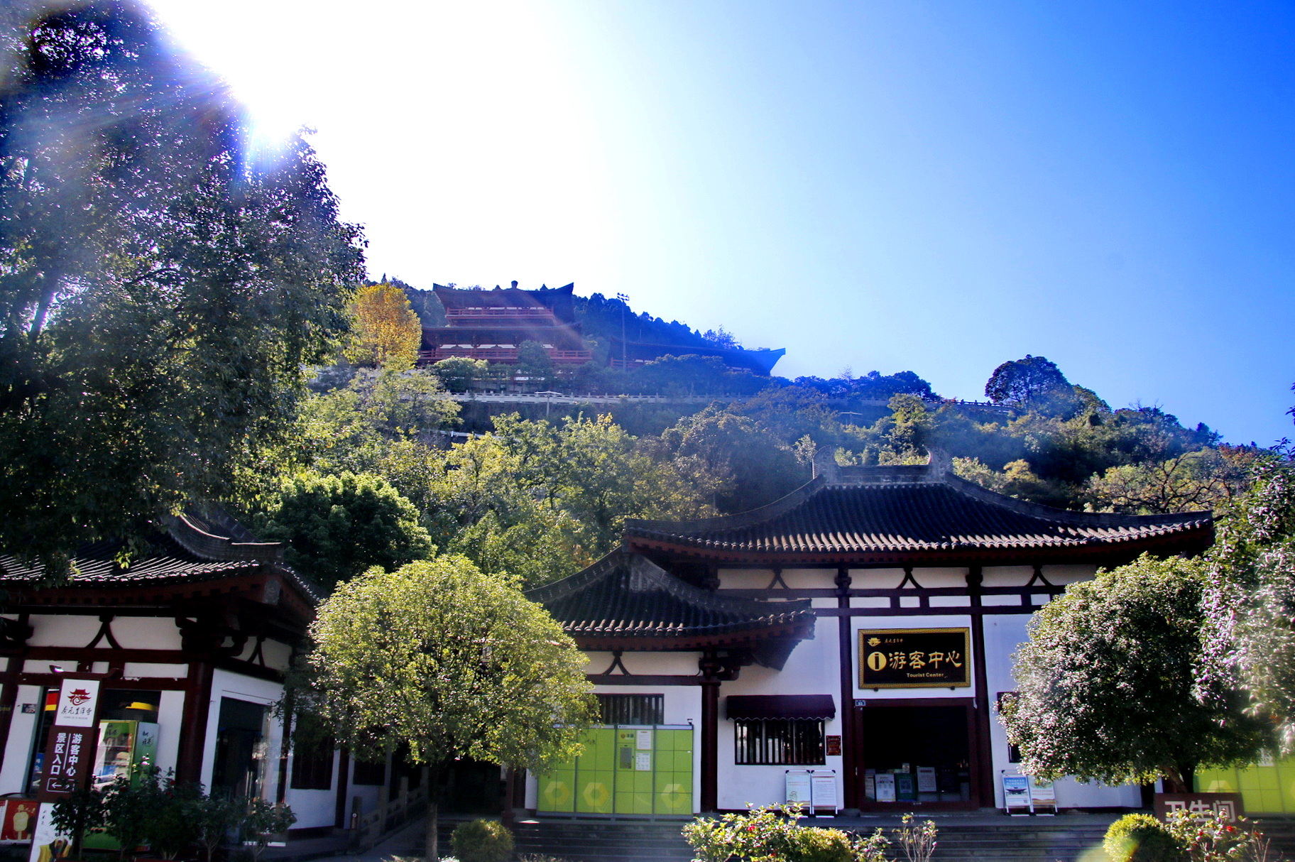 _MG_9020.JPG