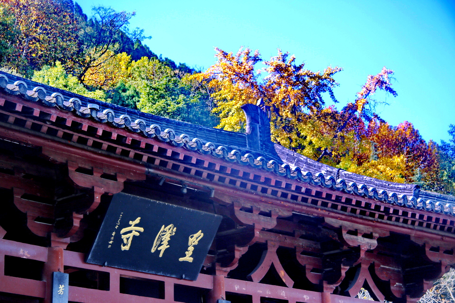 _MG_9035.JPG