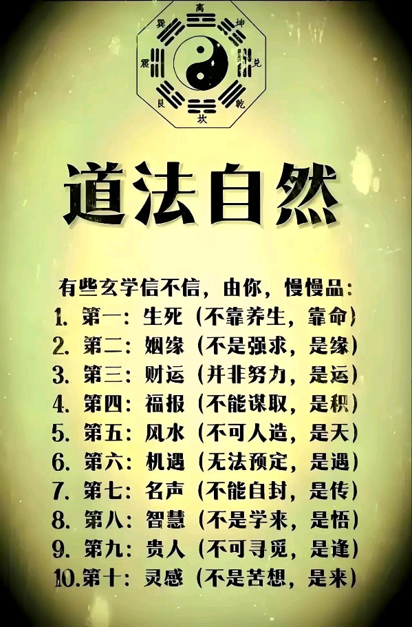 《微观证道》(图4)
