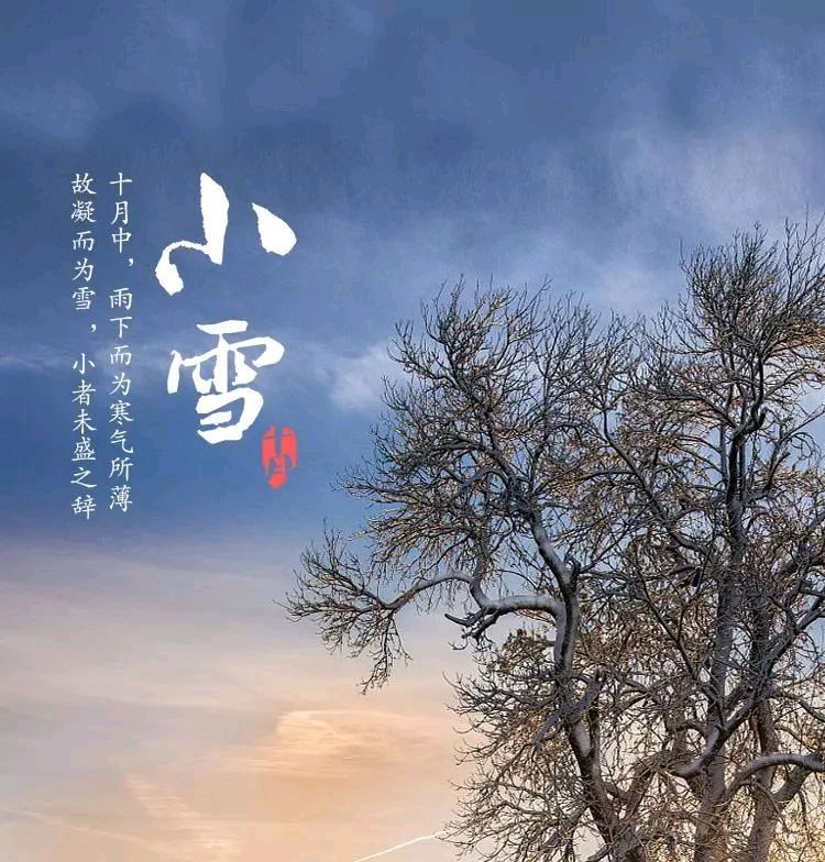 【风雅诗社】七律.《小雪》作者/ 丰茂春.山东（图3）