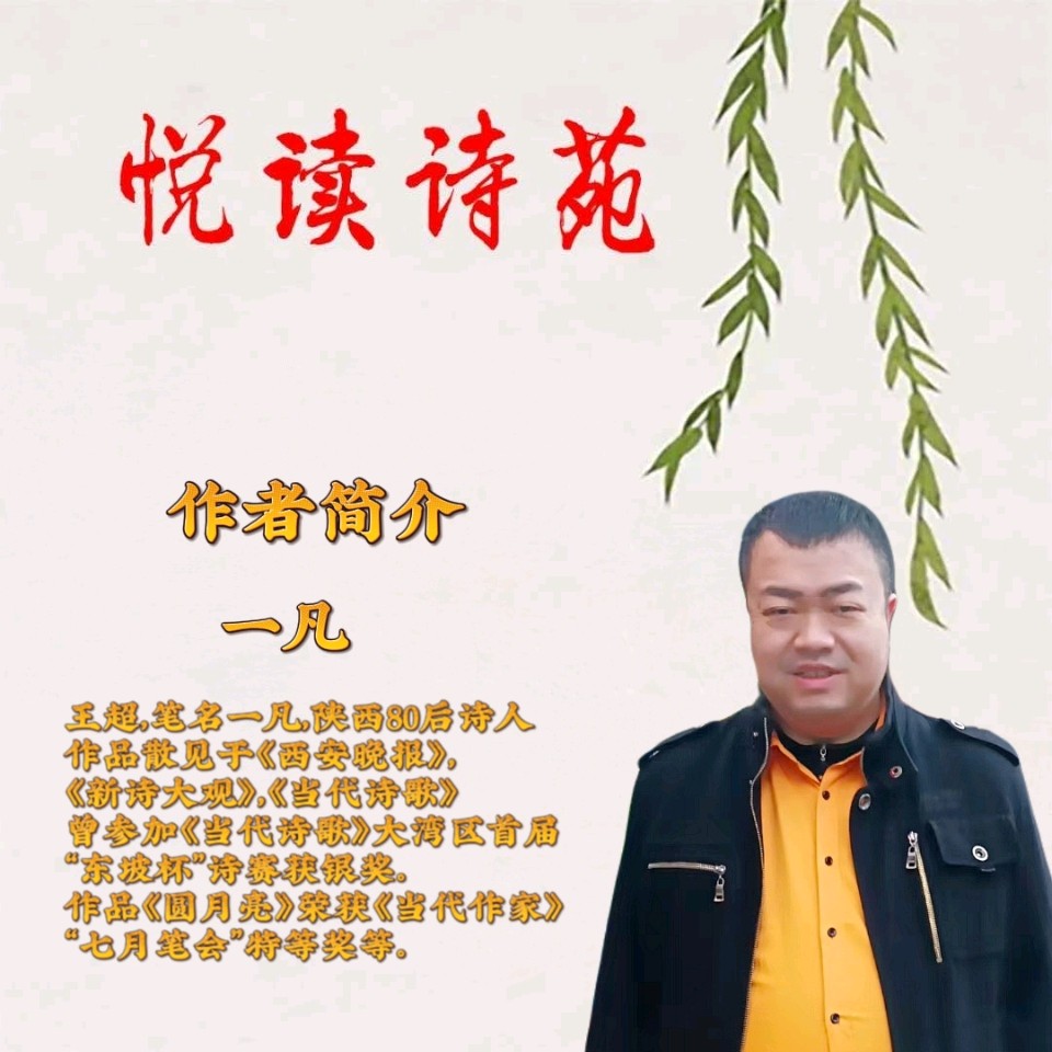 【冬树】作者一凡 朗诵者车雁菩（图3）