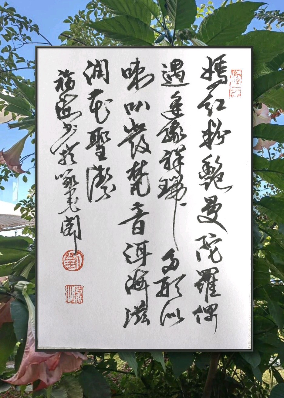 曼陀罗花开