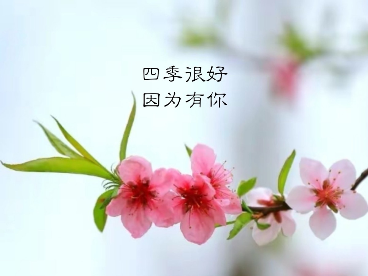 ［巾帼诗人］雨佳诗歌小辑（十首）（图9）