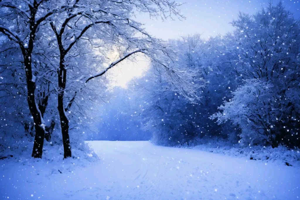 七律.又是一年小雪至（中华新韵.平起首句押韵） 作者：李传政（图2）