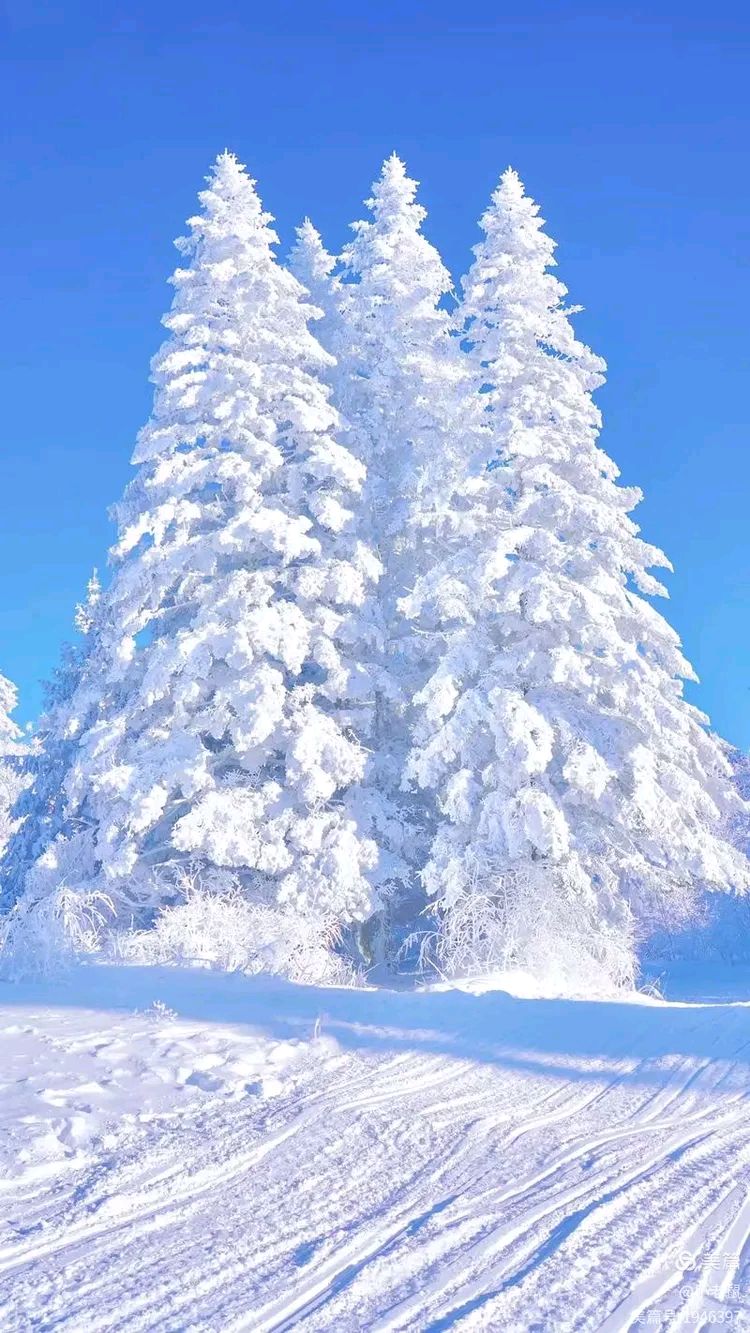 我把冬雪封存成诗～诗◑马文同（图14）