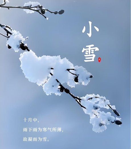 小雪‖巴彦诗协【1055】（图4）