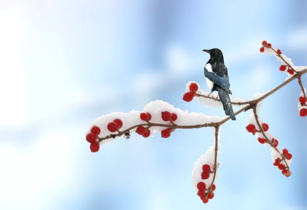 小雪节气 作者:张满海（图2）