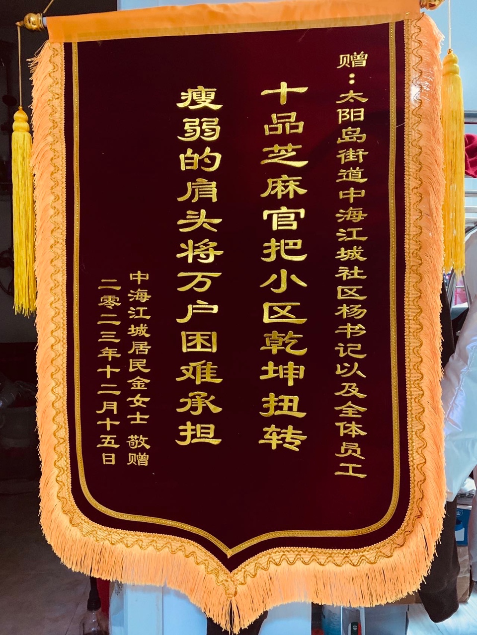 特色人物16，杨丽书记的三大宝物，诵读小小（图3）