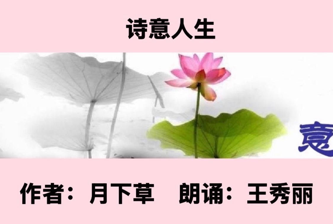 【卓然艺术联盟】诗意人生｜ 作者：月下草 朗诵：王秀丽（总2984期）（图5）
