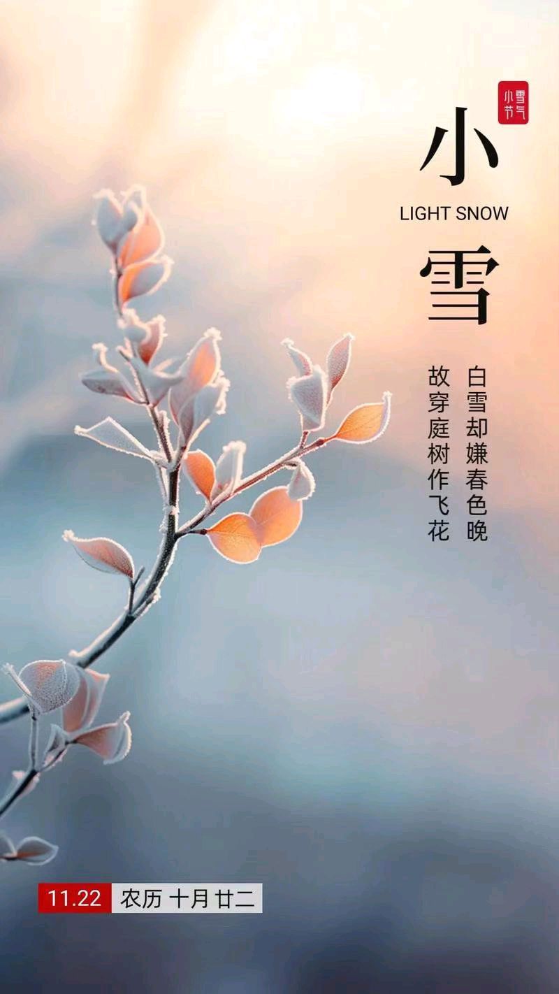【荣耀中国】深圳分社*七绝 小雪吟文/南山翁（图9）