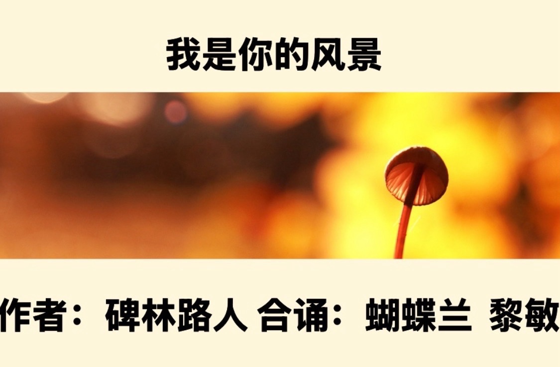 【卓然艺术联盟】男女声合诵：我是你的风景｜作者：碑林路人 合诵：蝴蝶兰 黎敏（总2989期）（图5）