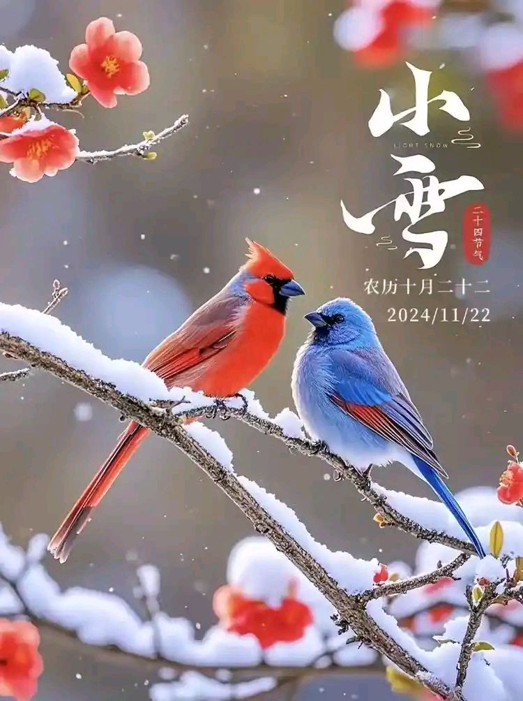 【国风呼和浩特社】格律诗词曲联精华集锦2025第033期【总130期】与您共享!《北京头条》(图14)
