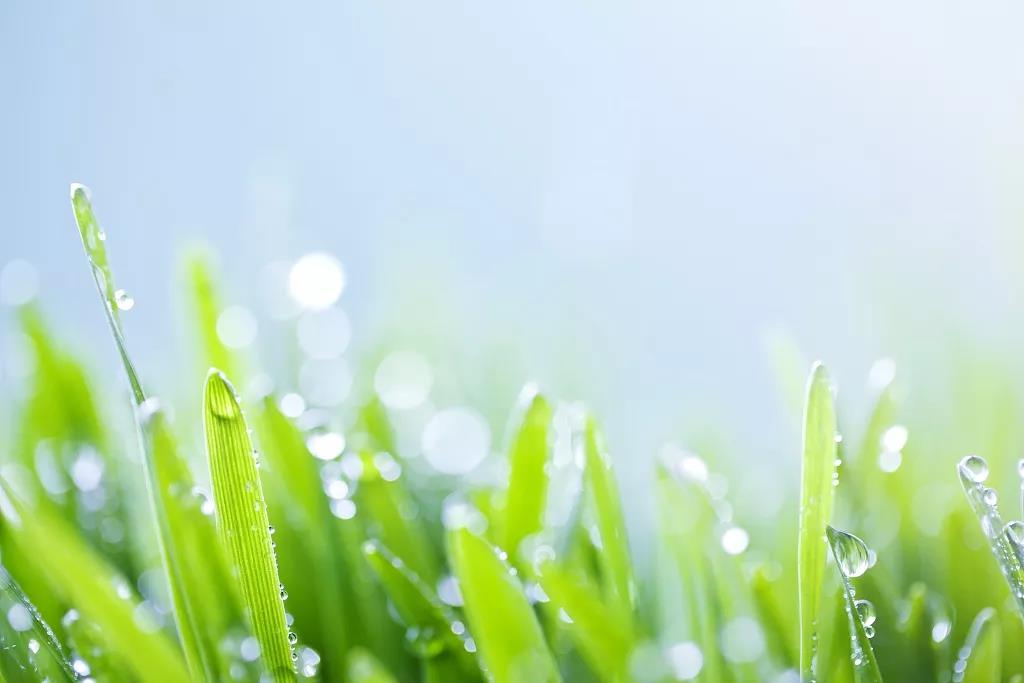 雨水时节：甘雨时降（图3）