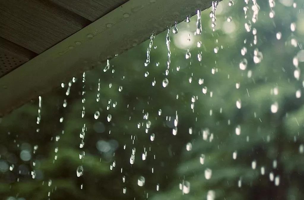 雨水时节：甘雨时降