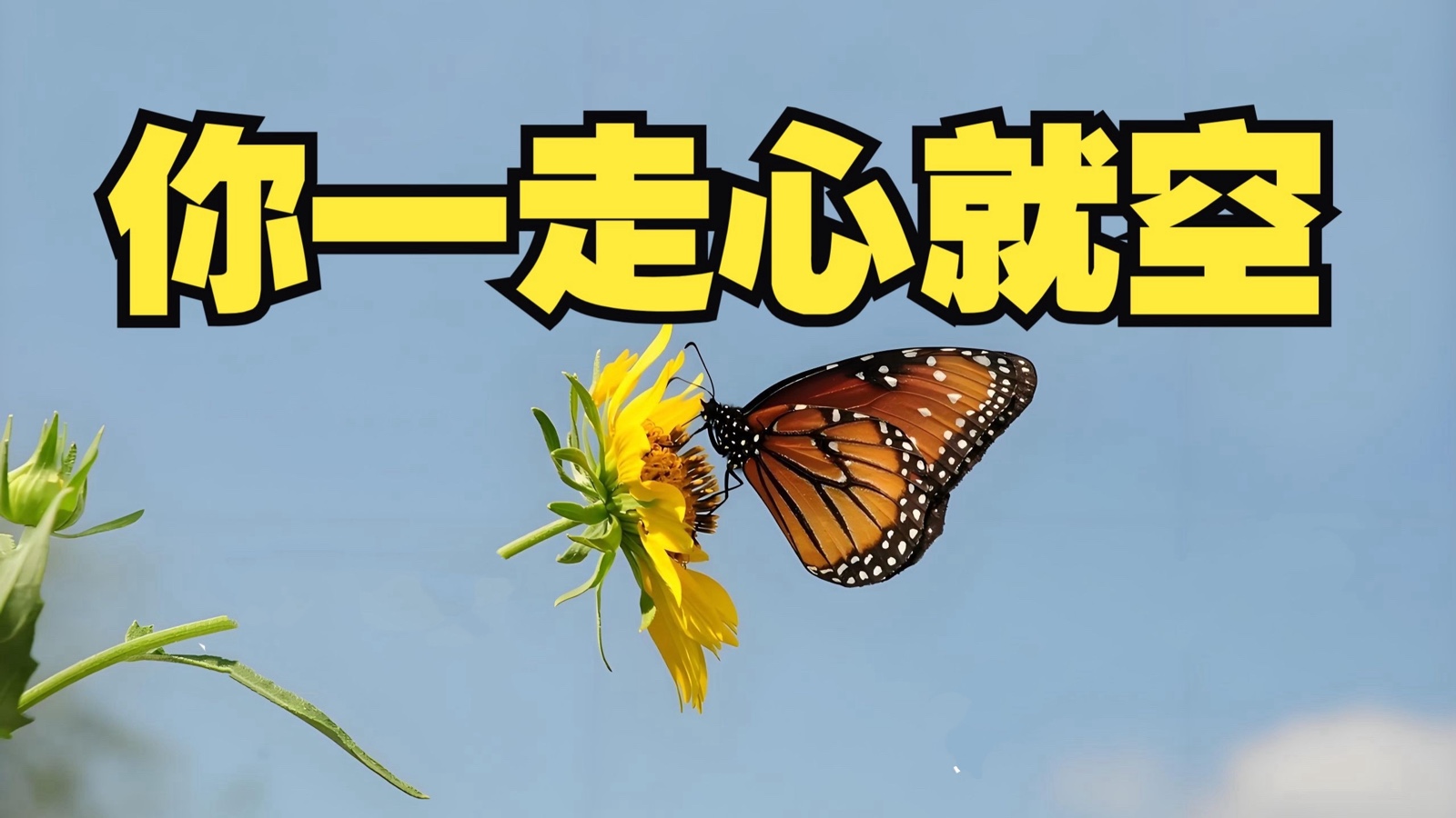海外头条：铁英朗诵《你一走心就空》作者||火凤凰（海外）（图5）