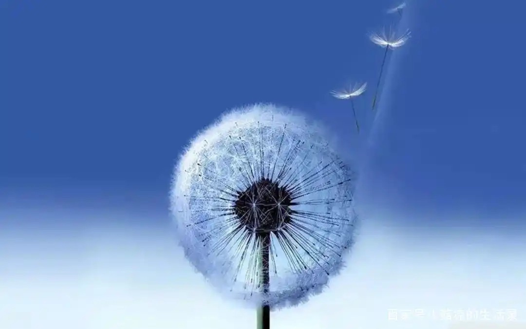 ［巾帼诗人］雨佳诗歌小辑（十首）（图6）