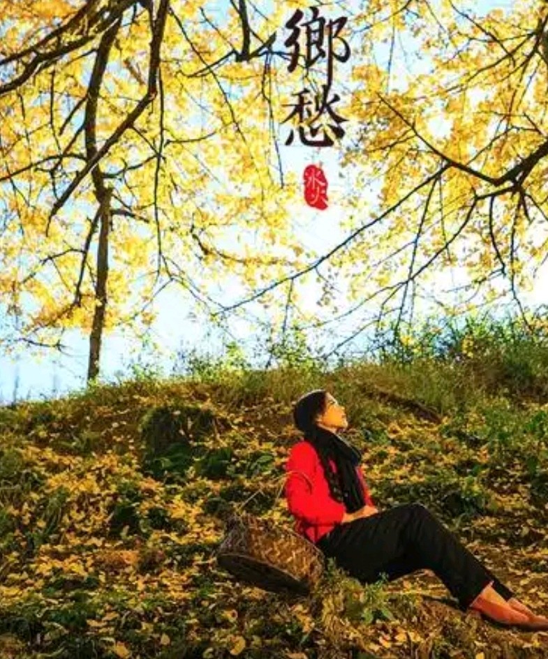 【原创】薛宇林诗歌欣赏：乡愁（图4）