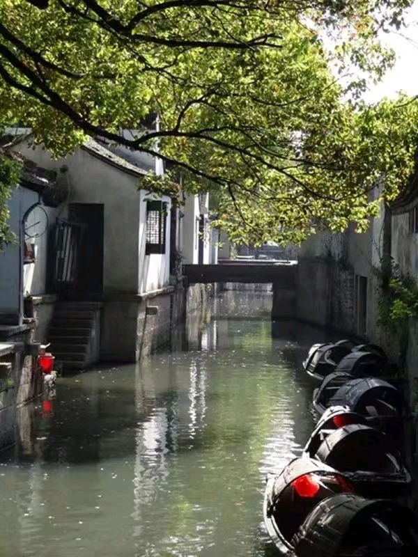 乡愁篇(十七)，雨巷的故事从来没有西风瘦马（图6）